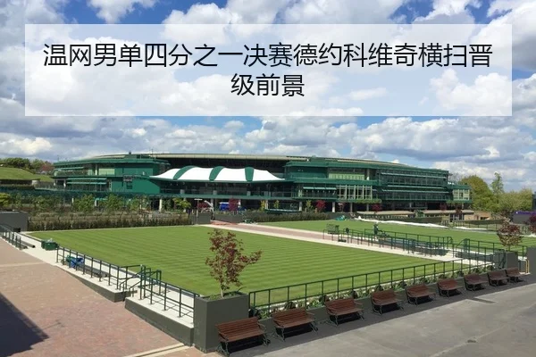 温网男单四分之一决赛德约科维奇横扫晋级前景