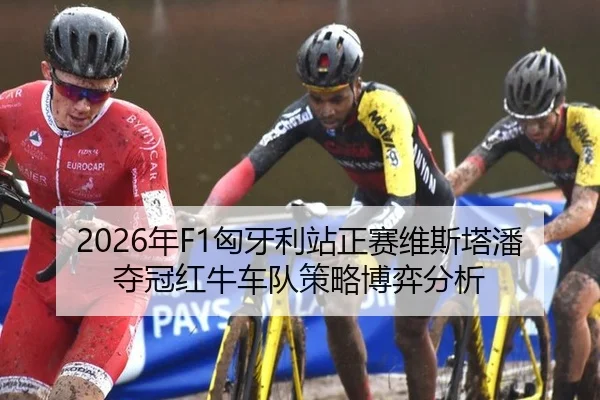 nian-xiong-ya-li-zhan-zheng-sai-wei-si-ta-pan-duo-guan-hong-niu-che-dui-ce-lve-bo-yi-fen-xi-3-905.jpg